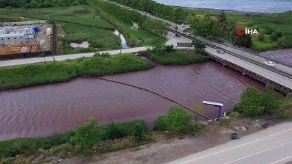 İzmit Körfezi çevre felaketinin eşiğinden döndü