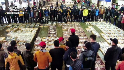 바닷가 사람들 - 기회의 바다, 숙명의 갈치잡이 1부_#003