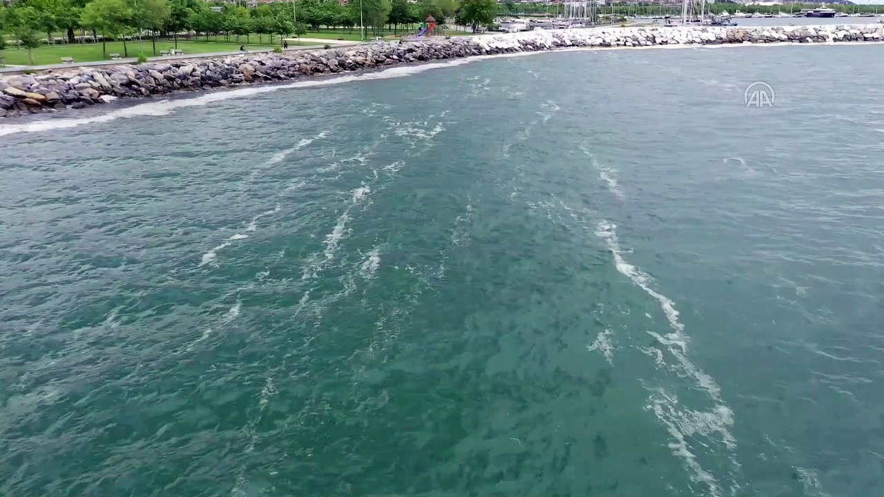 İSTANBUL - Deniz salyası Anadolu Yakası'nda bazı bölgelerde görülmeye devam ediyor