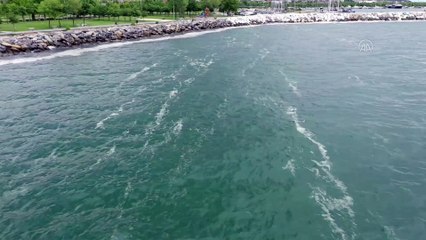 İSTANBUL - Deniz salyası Anadolu Yakası'nda bazı bölgelerde görülmeye devam ediyor