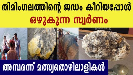 Fisherman got whale v0mit which cost around more than four crores