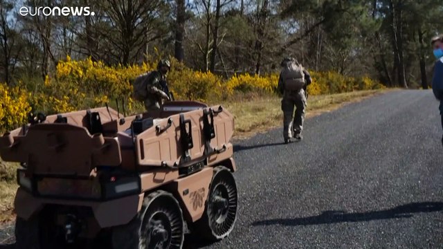 Экспорт французского оружия пострадал из-за пандемии