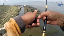 Mancing Ikan Hias di Pantai Kota Balikpapan Dapat Banyak