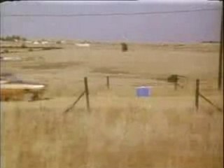 Apanhados na Savana RSRSRSRS!!!!