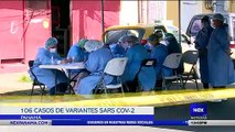 Panamá acumula 106 casos de variantes Sars Cov-2 - Nex Noticias