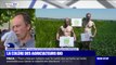 Les agriculteurs bio manifestent contre la réforme de la politique agricole commune