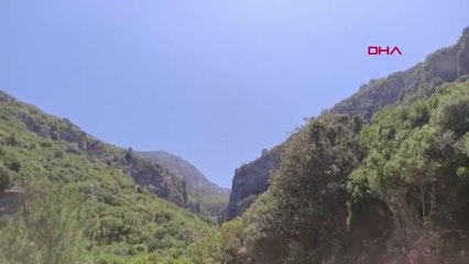 Son dakika haberi... DATÇA'DA ORMAN YANGINI