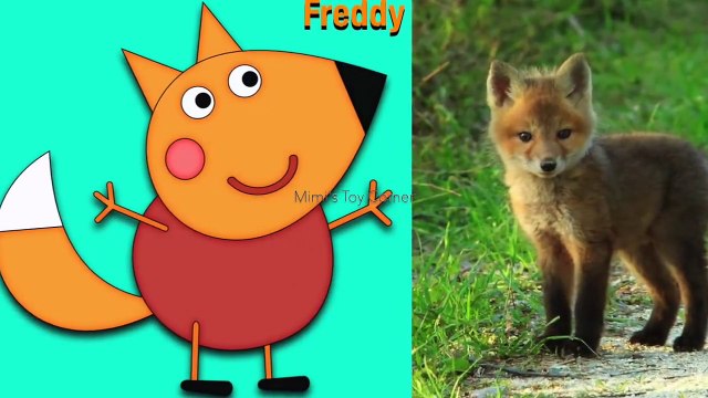 Peppa Pig Cartoon Movie Toy Character In Real Life (Full Of All Characters)