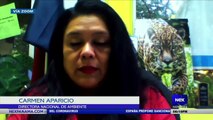 Entrevista a Carmen Aparicio, sobre el retorno a clases semipresenciales - Nex Noticias
