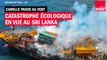 Catastrophe écologique en vue au Sri Lanka - Camille Passe au Vert