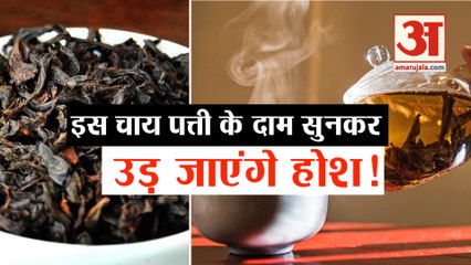 'Da Hong Pao' को क्यों कहा जाता है दुनिया की सबसे महंगी चाय पत्ती
