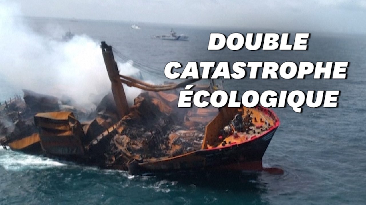 Au Sri Lanka, le cargo à l'origine d'un désastre écologique sombre, plein de fioul