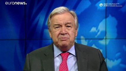 ONU cria Década do Oceano para aumentar conhecimento da vida marinha