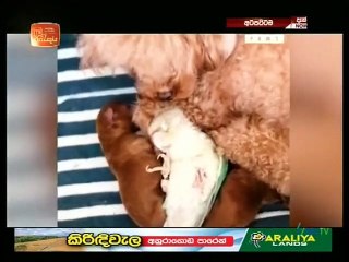 Atapattama 02-06-2021