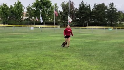 Unlucky FAILS Gone DUCKY!  - Funny Fails - AFV 2021