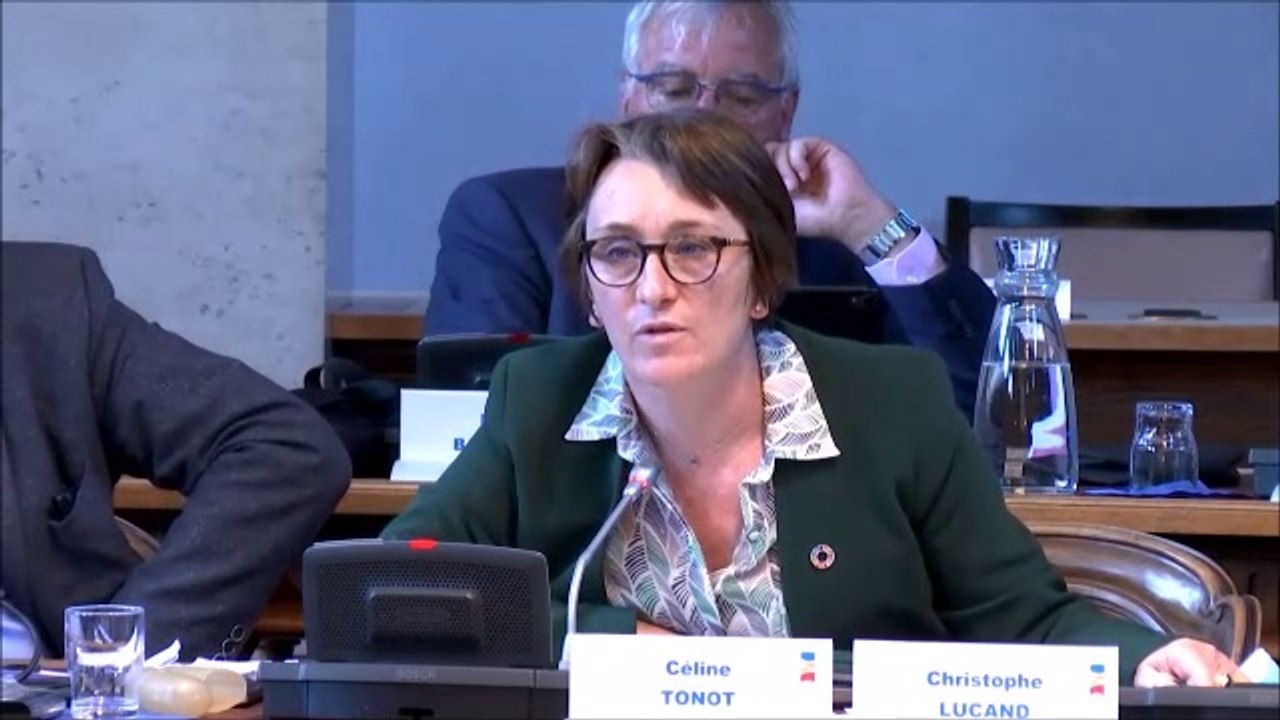 Céline TONOT. Budget supplémentaire pour la voirie départementale. 31 mai 2021.