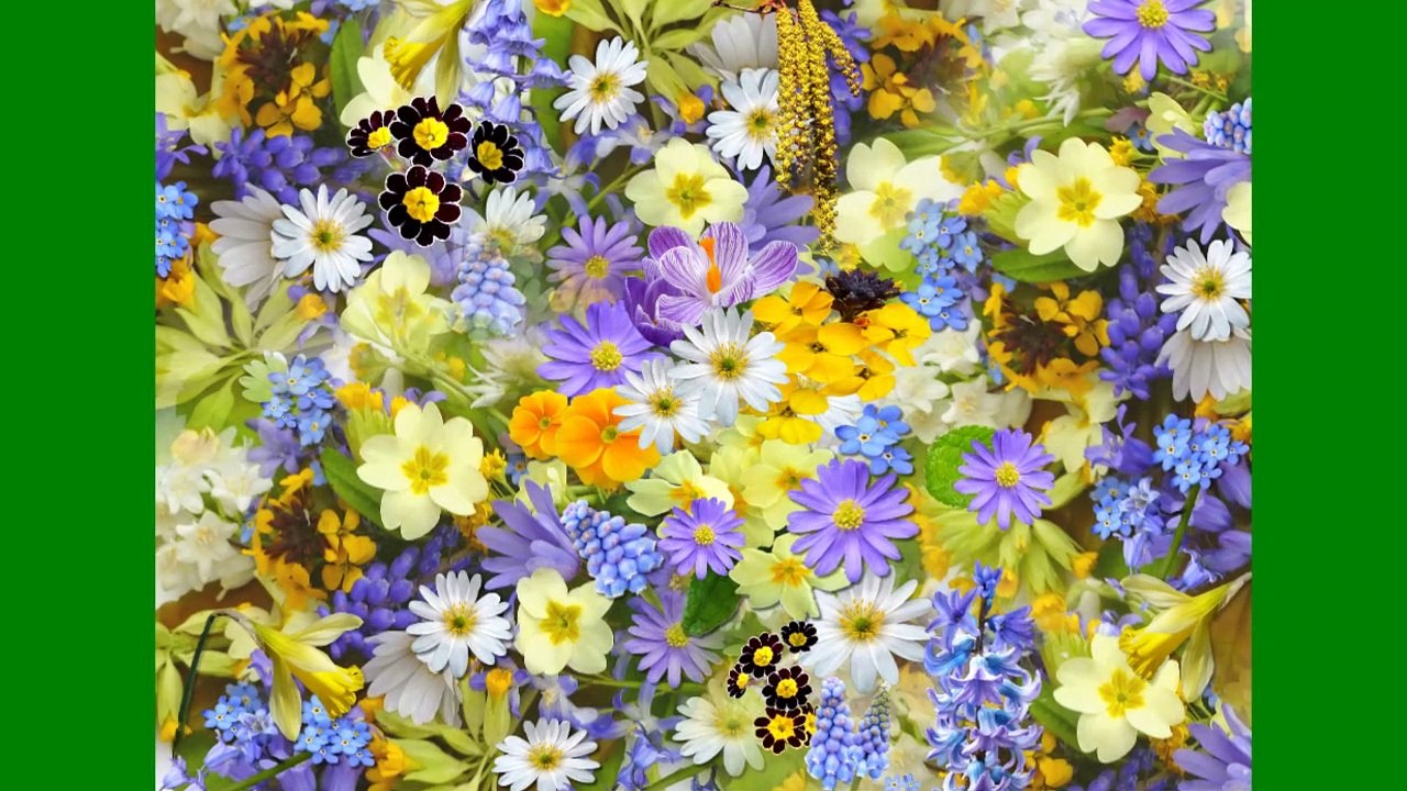 flowers and many other things in nature ...........////background