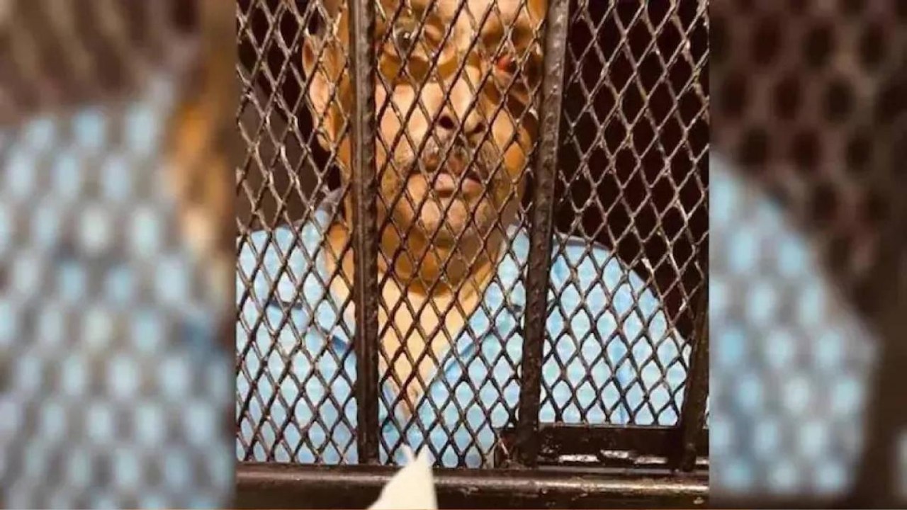 Senior lawyers discuss legal aspects of Mehul Choksi Case