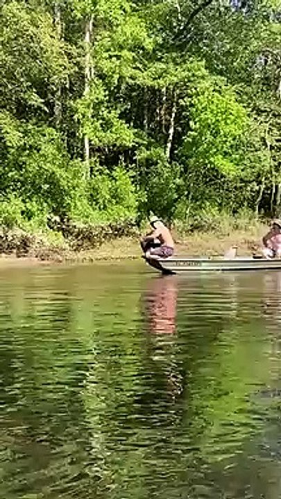 Choper un nid de frelon avec un sac poubelle...