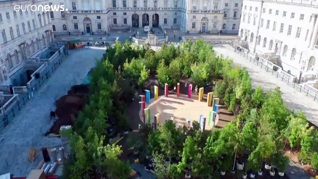 Londoner Design-Biennale: Wald gegen Weltkrisen