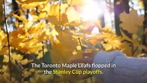 Collapse complete Leafs wilt in Game 7 to Habs