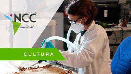 Mujeres restauran obras anónimas en museo del Vaticano