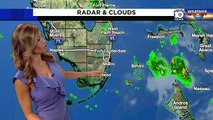 Julie Durda on WPLG Local 10 (02/06/2021)