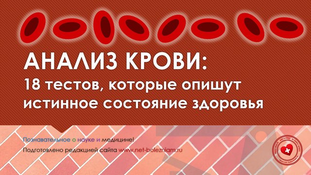 Анализ крови: 18 тестов, которые помогут установить истинное состояние здоровья