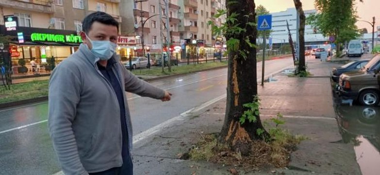 Ağaca yıldırım isabet etmesi güvenlik kamerasınca kaydedildi