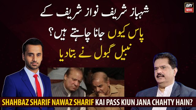 Why does Shahbaz Sharif want to meet Nawaz Sharif? Nabil Gabol