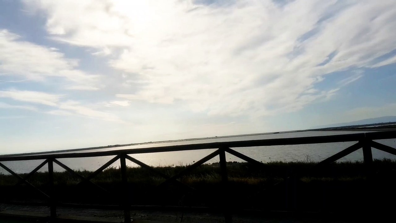 Puglia: incidente stradale mortale tra Margherita di Savoia e Trinitapoli. Coinvolte due persone, traffico veicolare bloccato - video