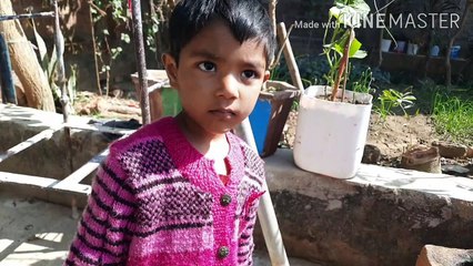 How chicks came out of eggs