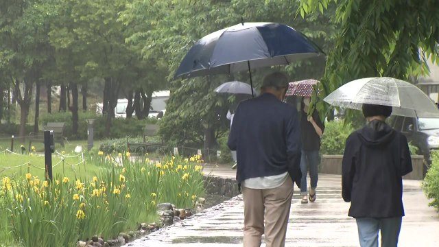 [날씨] 오늘 흐리고 전국 비...한낮에도 선선 / YTN