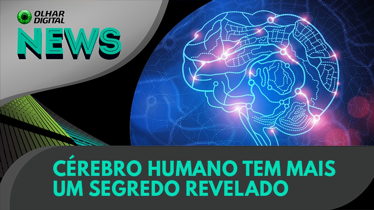 Ao Vivo | Cérebro humano tem mais um segredo re...