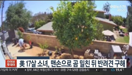 [핫클릭] 美 17살 소녀, 맨손으로 곰 밀친 뒤 반려견 구해 外