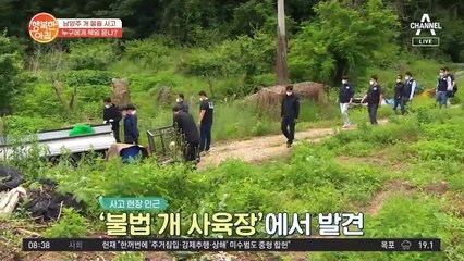 남양주 '개 물림' 사고! 개와 사람 간 '대면조사'로 사건 밝히려 한다