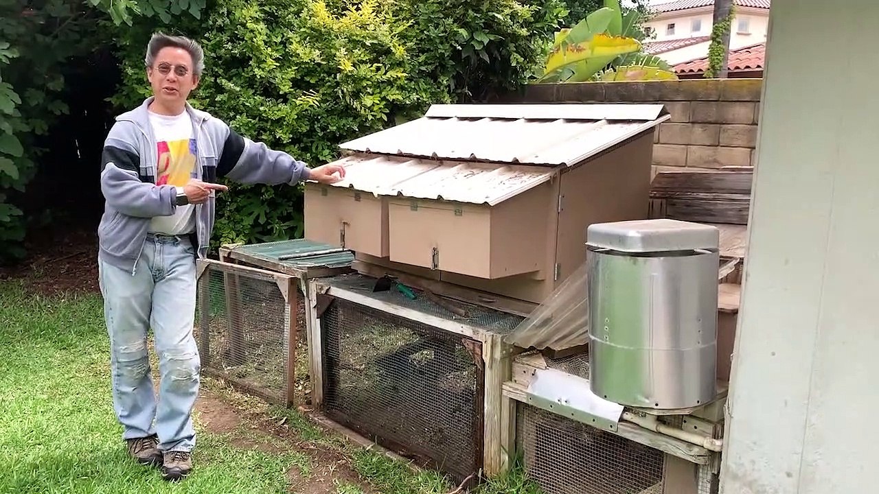 Diy Automatic Chicken Coop Door Automation With Linear Actuators