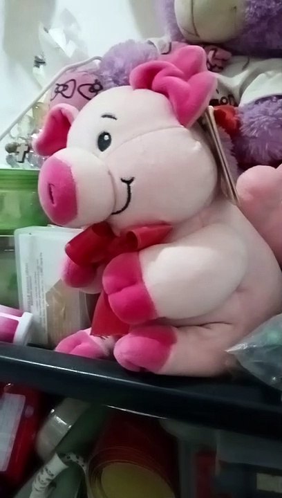 teddy