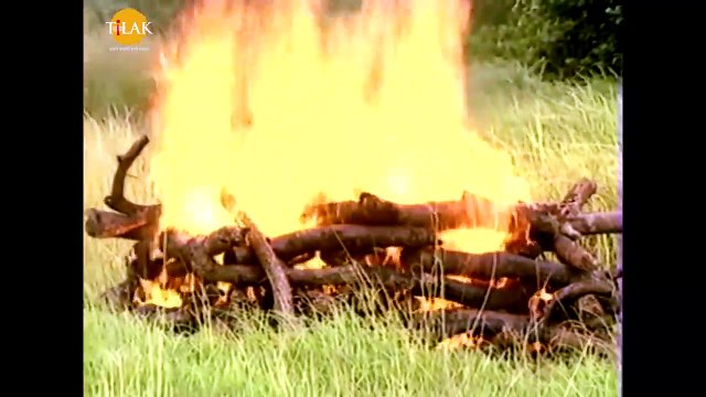 रामायण - EP 33 - राम-लक्ष्मण सीता की खोज _ जटायु का अंतिम संस्कार _ अशोक वाटिका में सीताजी