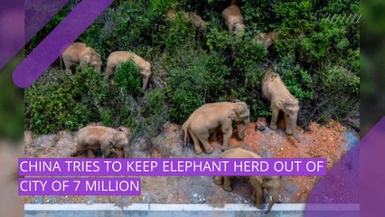 24/7 video newswire featuring breaking news, research, and entertainment.