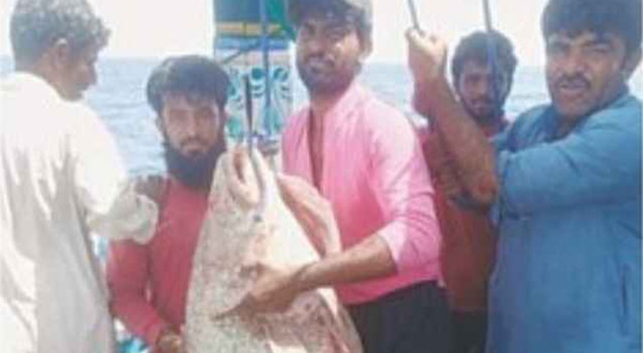 समंदर में मछली पकड़ रहा था पाकिस्तानी मछुआरा, ह...