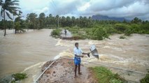 Monsoon may reach Kerala today, IMD sees dark clouds