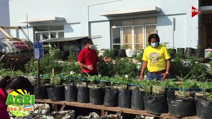 “GULAYAN SA PAARALAN” Ep.59 AGRI Ako D’yan