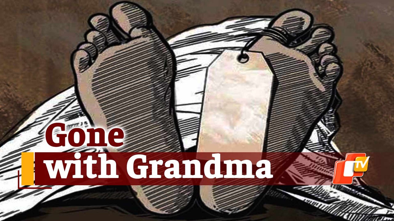 Elderly Woman, Grandson Crushed To Death By Speeding Truck In Odisha