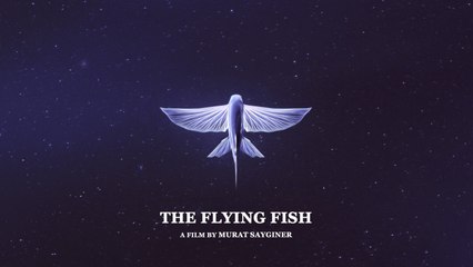 The Flying Fish (trailer)