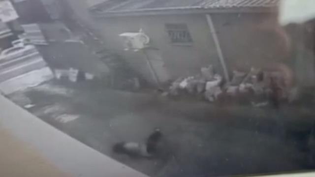 Genç kızın çalıştığı iş yerinin camından düştüğü anlar kamerada