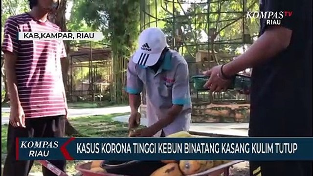Kasus Korona Tinggi Kebun Binatang Kasang Kulim Tutup