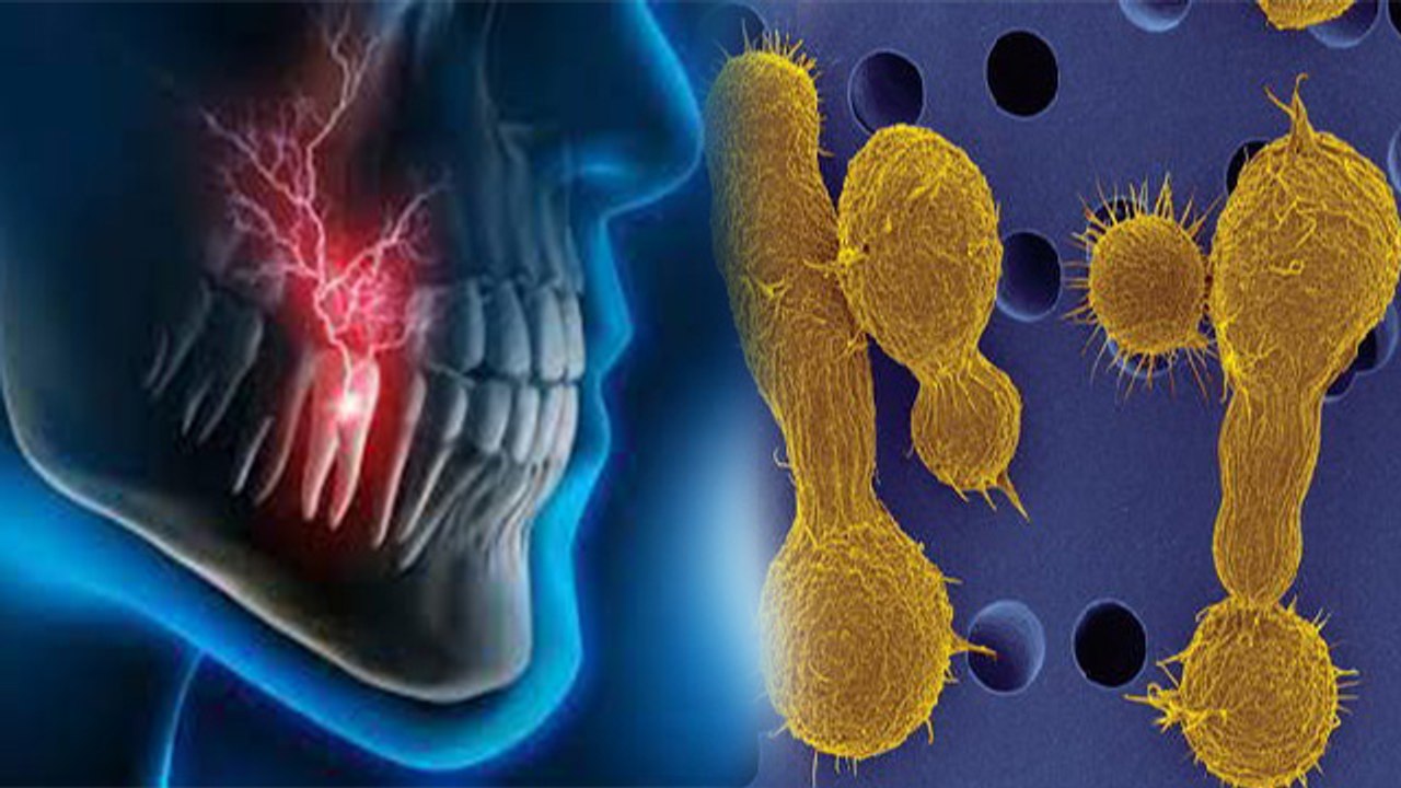 Black Fungus के Symptoms हो सकते है दांत और मसूड़ों से जुड़ी ये परेशानी, हो जाए सावधान । Boldsky