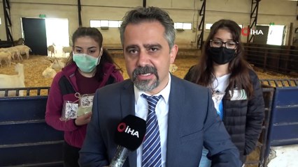 Öğrenciler keçi sütünden sabun üretiyor