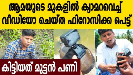 Vlogged with a camera attached to the top of the tortoise